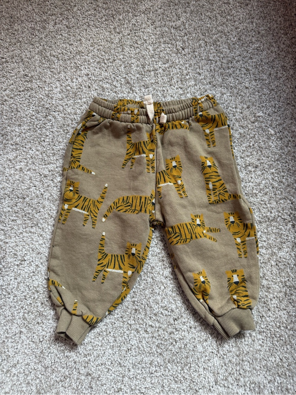 Zara Tiger Print Sweatpants